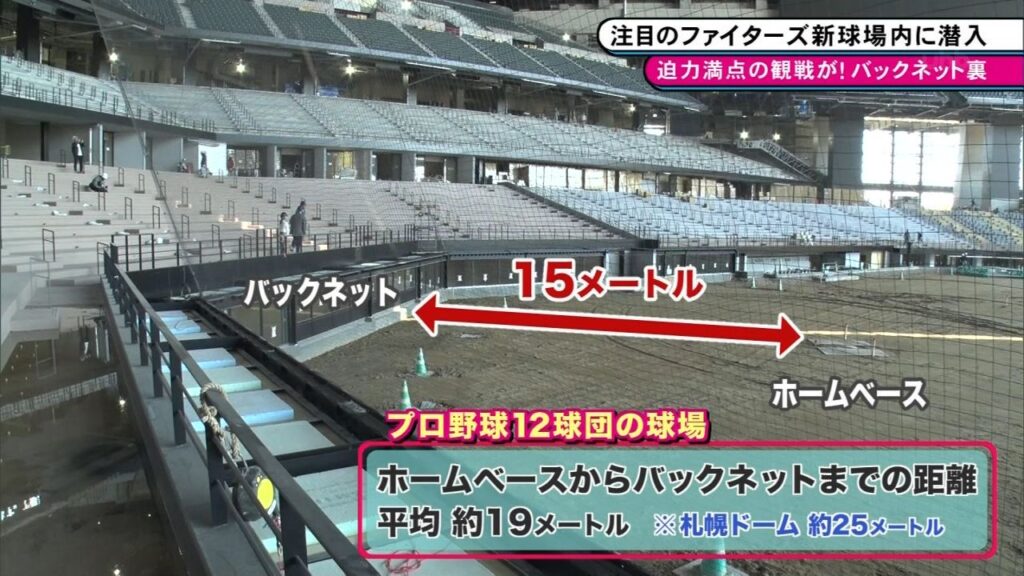 エスコンフィールド観戦チケット、6月8日広島戦バックネット裏3名